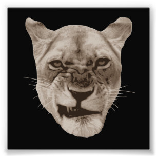 Impression Photo Chat Lion Fâché