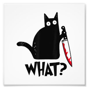 Impression Photo Chat Qu'est-ce que_ Drôle Chat Noir