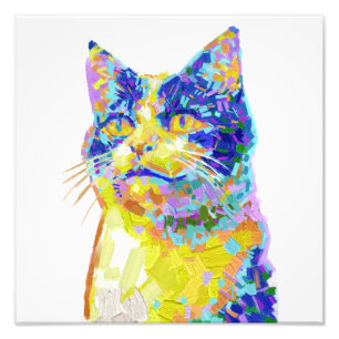 Impression Photo Chat sous le soleil