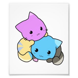Impression Photo chaton mignon