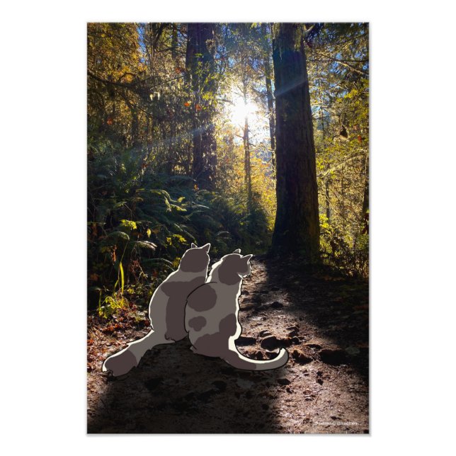 Impression Photo Chats dans les bois de l'Oregon (Devant)