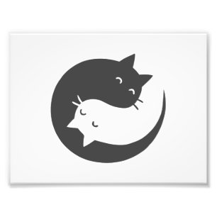 Impression Photo Chats yin et yang mandala - Choisissez le colo arr