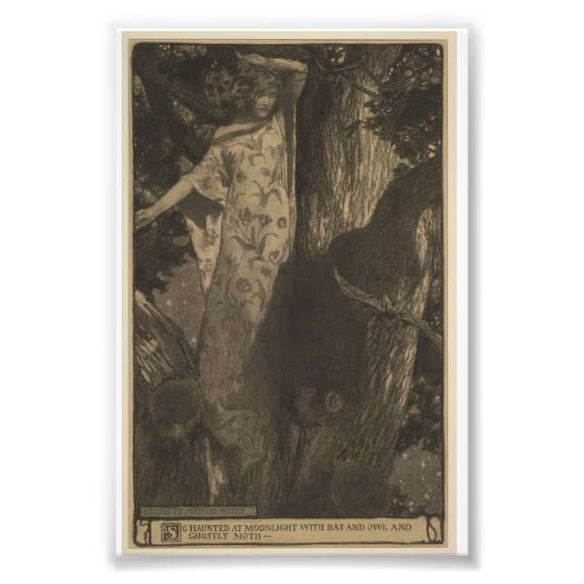 Impression Photo Chauve-souris et hibou (Devant)