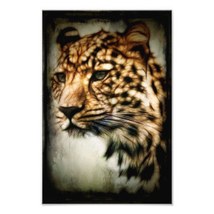 Impression Photo Cheetah