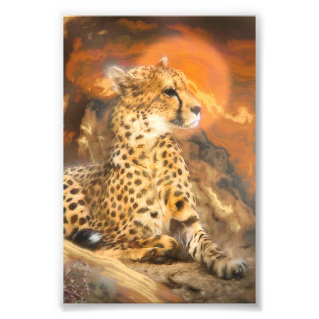 IMPRESSION PHOTO CHEETAH REPOSANT (Devant)