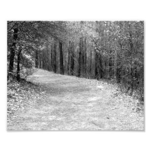 Impression Photo Chemin moins de B&W parcouru