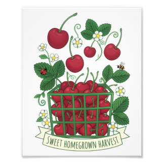 Impression Photo Cherry Fruit Food Prunus Sweet Basket 