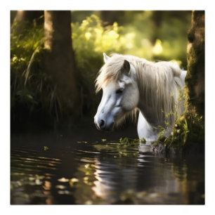 Impression Photo Cheval blanc dans l'étang