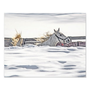 Impression Photo Cheval Blanc Galopant Dans La Neige