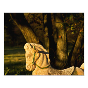 Impression Photo Cheval de châtaignes