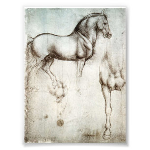 Impression Photo Cheval de da Vinci