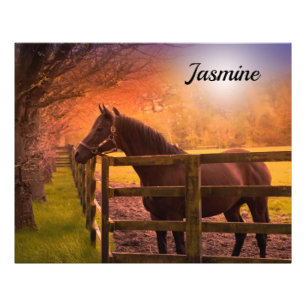 Impression Photo Cheval en Paddock Personnalisé