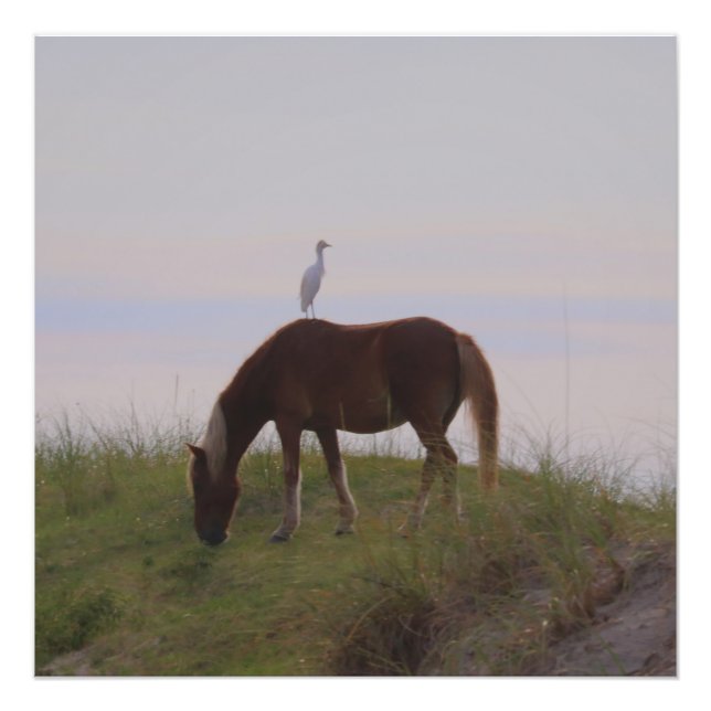 Impression Photo Cheval et cavalier dans les dunes (Devant)