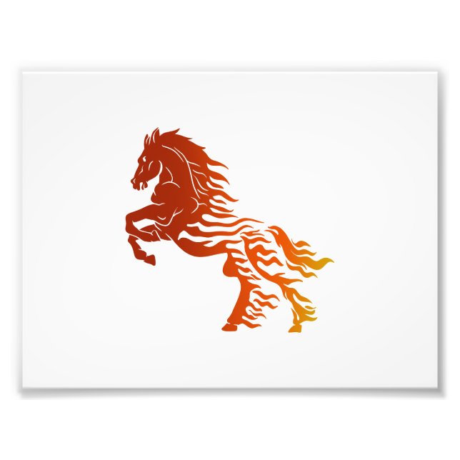 Impression Photo Cheval flamand - Choisissez la couleur arrière - p (Devant)