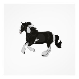 Impression Photo Cheval gitan de Pinto Vanner de peinture noire et