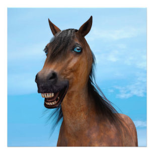 Impression Photo Cheval heureux