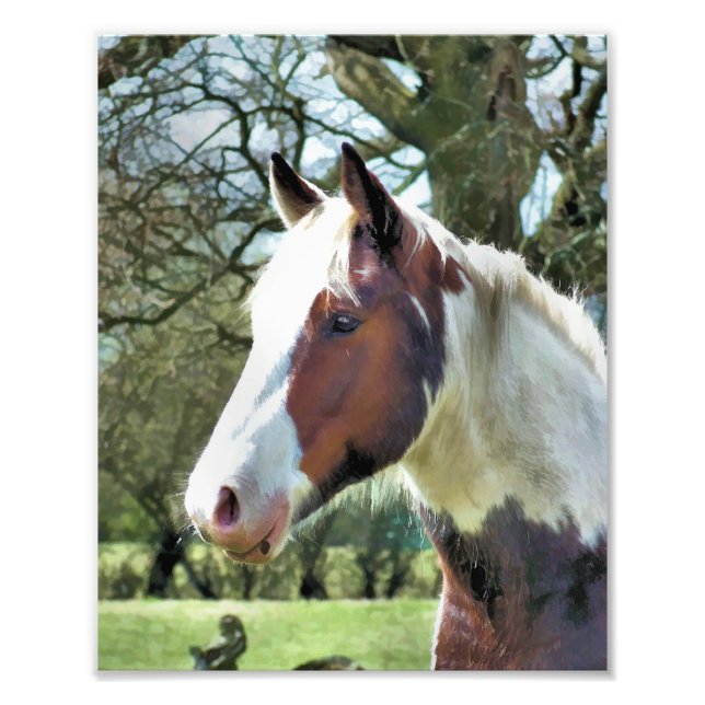 IMPRESSION PHOTO CHEVAUX (Devant)