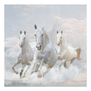 Impression Photo Chevaux dans les nuages
