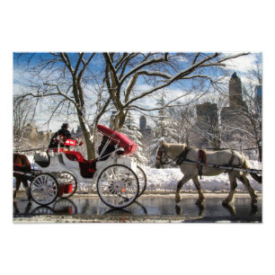 Impression Photo Chevaux de chariot d'hiver dans le Central Park