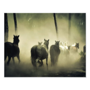 Impression Photo Chevaux sauvages