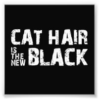 Cheveux de chat est le nouveau noir