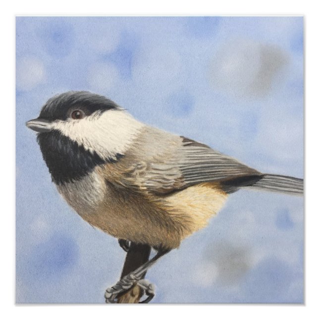 Impression Photo Chickadee dee (Devant)