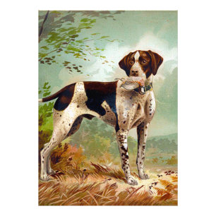 Impression Photo Chien de chasse avec oiseau dans la bouche