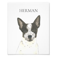Chien de poche Heeler noir et blanc personnalisé