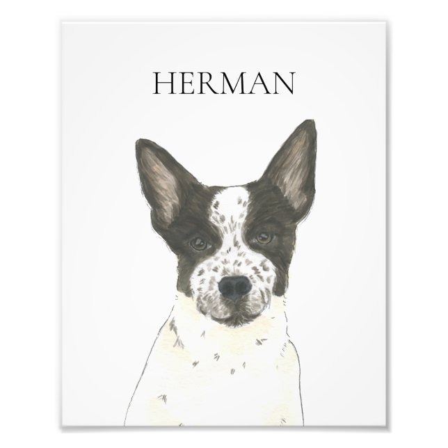 Impression Photo Chien de poche Heeler noir et blanc personnalisé (Devant)