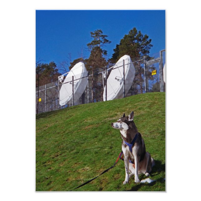 Impression Photo Chien de repérage (Devant)