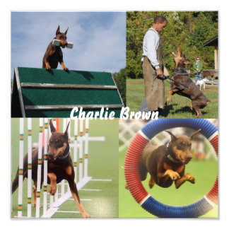 Impression Photo Chien de travail