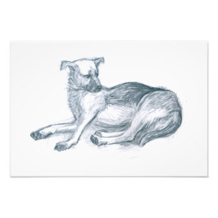 Impression Photo Chien. Dessin au crayon.