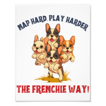 Chien français français