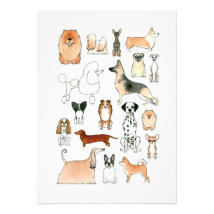 Impression Photo Chiens