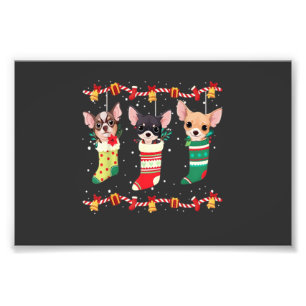Impression Photo Chihuahua Chaussettes de Noël Lumières Drôle Xmas
