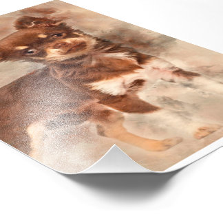 Impression Photo Chihuahua looking at camer_Dog Lover