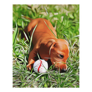 Impression Photo Chiot Dachshund Posé Dans L'Herbe Avec Ball Xmas P