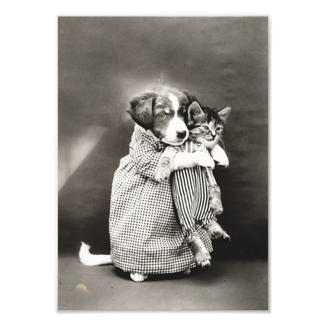 Impression Photo Chiot tenant Petit Kitten (Devant)