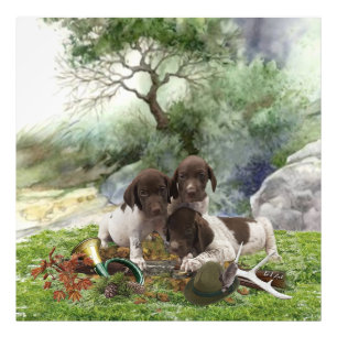Impression Photo Chiots mignons à poignets allemands