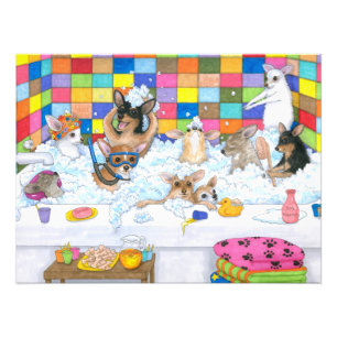 Impression Photo Chiwawa drôle du chien 121 dans le bain