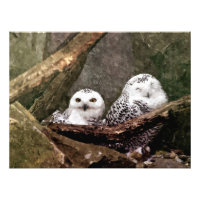 Chouette Harfang Couple Art Bois Faune