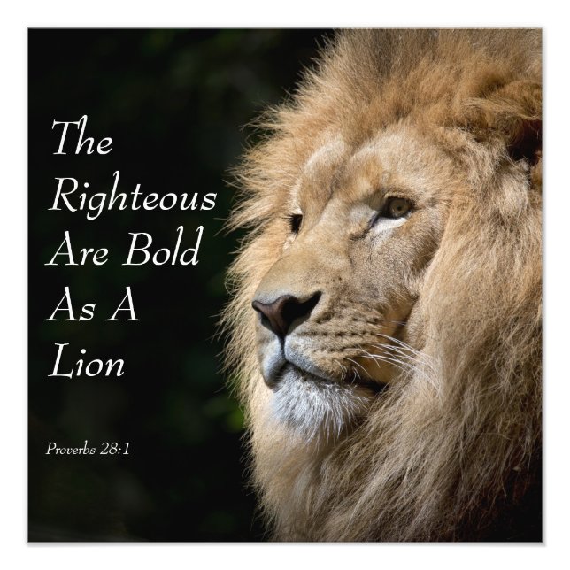 Impression Photo Christian Art - Lion - Proverbs 28:1 (Devant)