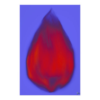 IMPRESSION PHOTO CHRYSALIS 