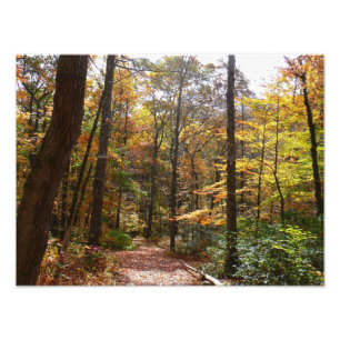 Impression Photo Chute Sunlit dans le parc national de Laurel Hill