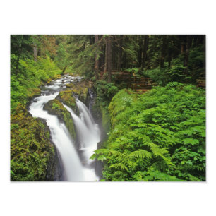 Impression Photo Chutes Sol Duc dans le parc national Olympique en