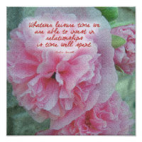 Citation de fleurs roses Hollyhock