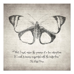 Impression Photo Citation de papillon