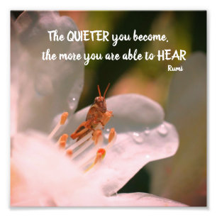 Impression Photo Citation Rumi Inspirationnelle Silence 8x8