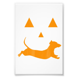 Impression Photo Citrouille d'Halloween Dachshund Jack-O-Lantern Co