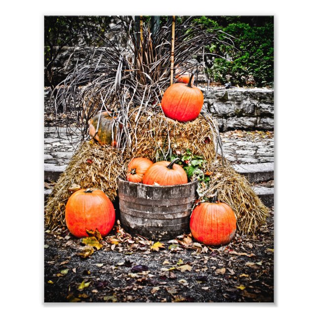 Impression Photo Citrouilles au Québec (Devant)